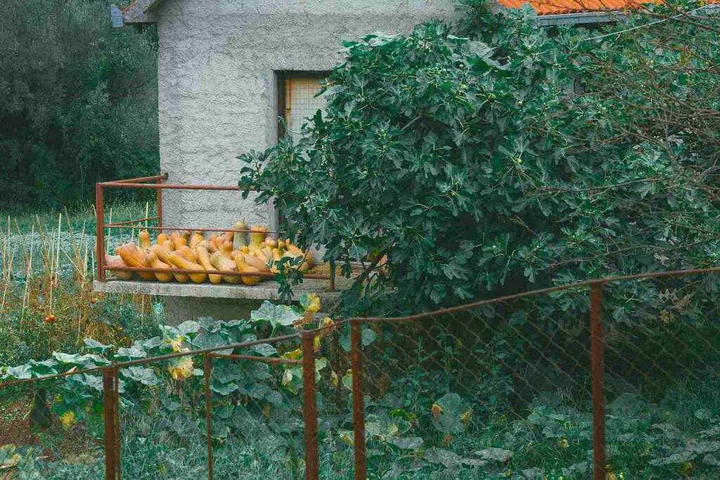 Gardening